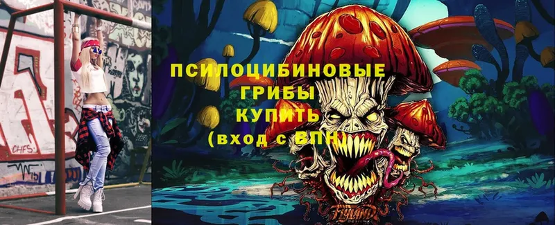 Галлюциногенные грибы MAGIC MUSHROOMS  даркнет формула  Верещагино 